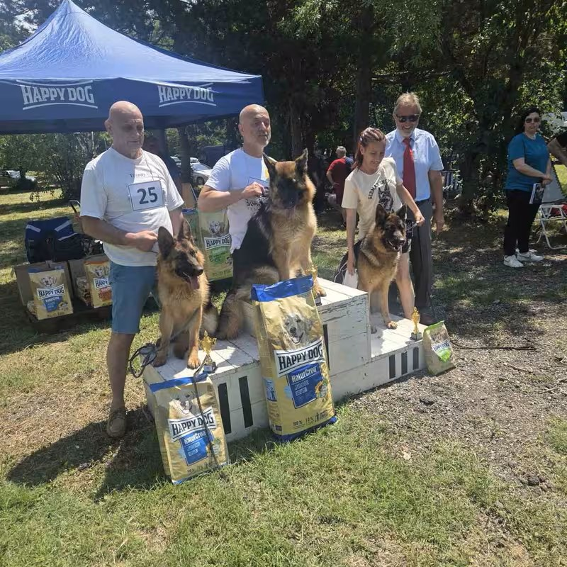 happy-dog-nemski-ovcharki-chirpan-2026-gallery-07.PNG