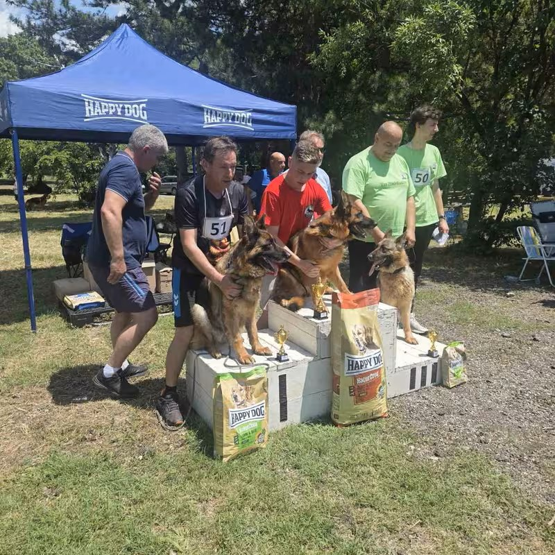 happy-dog-nemski-ovcharki-chirpan-2026-gallery-10.PNG