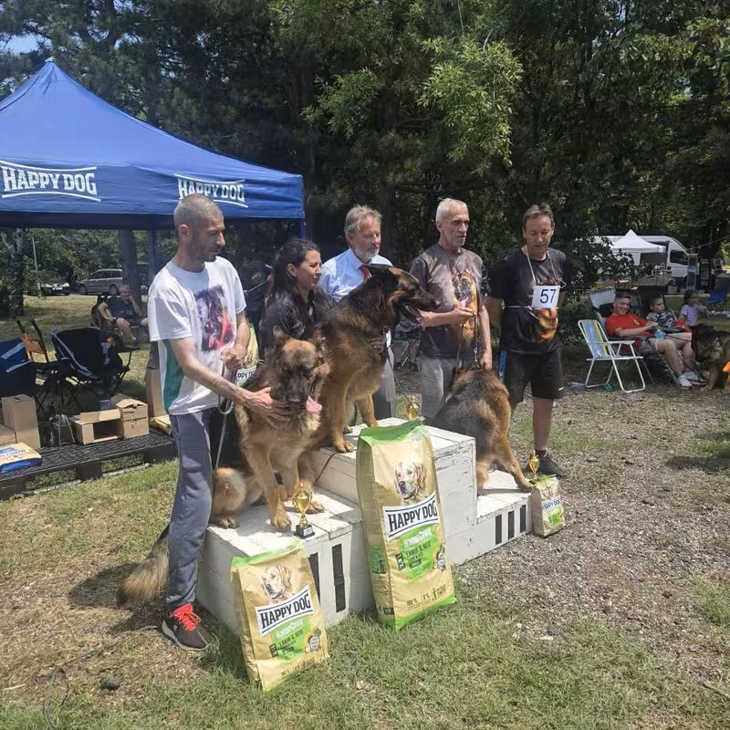 happy-dog-nemski-ovcharki-chirpan-2026-gallery-13.PNG
