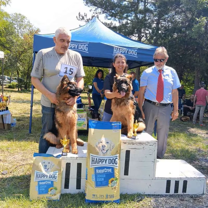 happy-dog-nemski-ovcharki-chirpan-2026-gallery-15.PNG