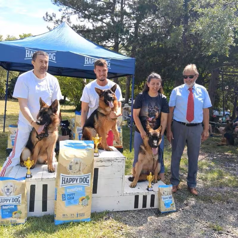 happy-dog-nemski-ovcharki-chirpan-2026-gallery-16.PNG